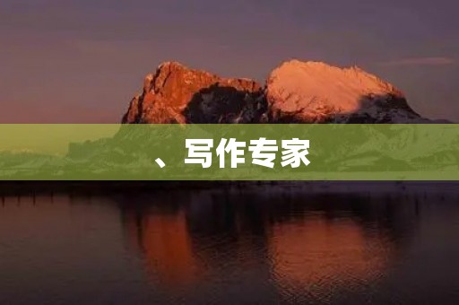 、写作专家 、写作专家