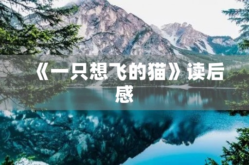 《一只想飞的猫》读后感