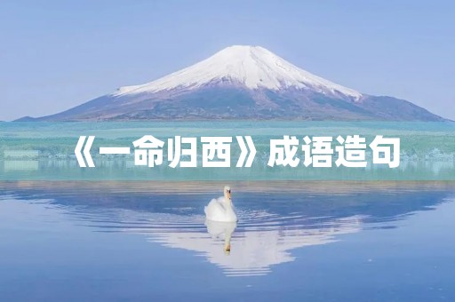 《一命归西》成语造句