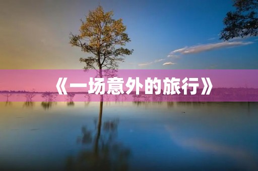 《一场意外的旅行》 《一场意外的旅行》