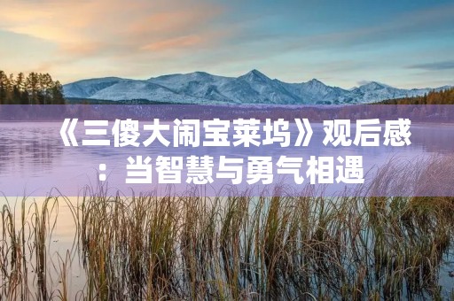 《三傻大闹宝莱坞》观后感：当智慧与勇气相遇，奇迹就会发生