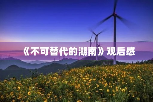 《不可替代的湖南》观后感 《不可替代的湖南》观后感