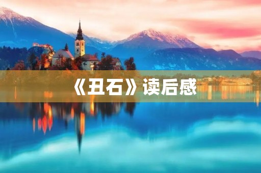 《丑石》读后感