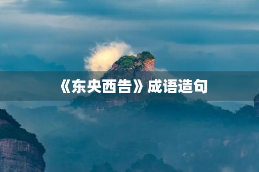 《东央西告》成语造句
