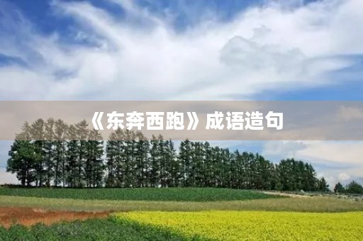《东奔西跑》成语造句