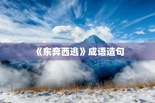 《东奔西逃》成语造句 《东奔西逃》成语造句