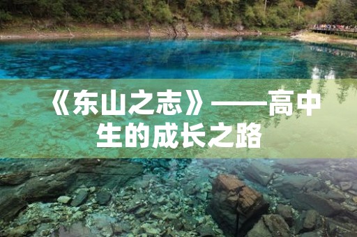 《东山之志》——高中生的成长之路 《东山之志》——高中生的成长之路