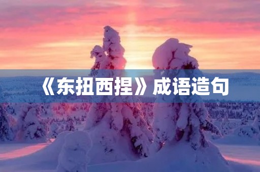 《东扭西捏》成语造句