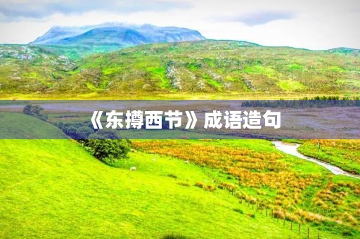 《东撙西节》成语造句 《东撙西节》成语造句