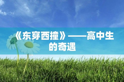 《东穿西撞》——高中生的奇遇 《东穿西撞》——高中生的奇遇