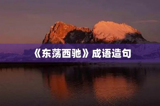 《东荡西驰》成语造句