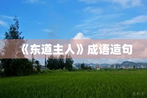 《东道主人》成语造句 《东道主人》成语造句