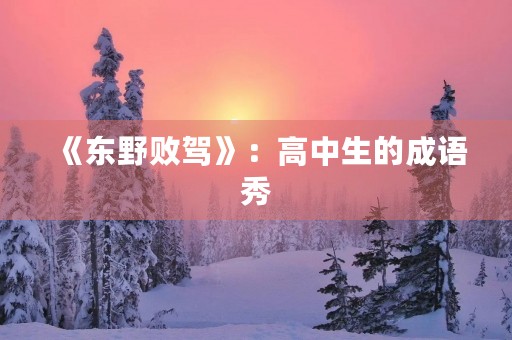 《东野败驾》：高中生的成语秀