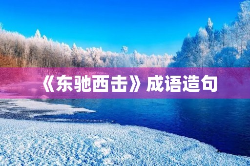 《东驰西击》成语造句 《东驰西击》成语造句