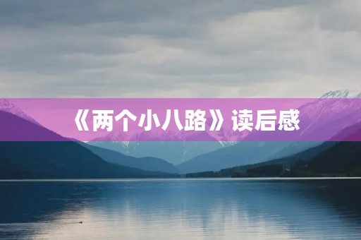 《两个小八路》读后感
