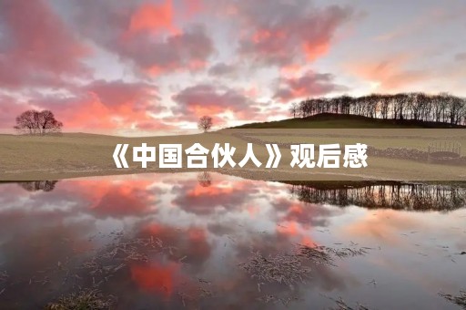 《中国合伙人》观后感 《中国合伙人》观后感