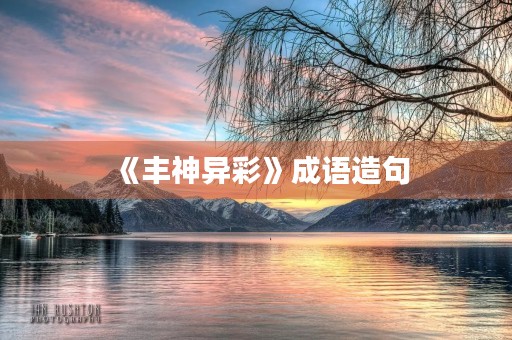 《丰神异彩》成语造句