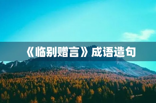 《临别赠言》成语造句