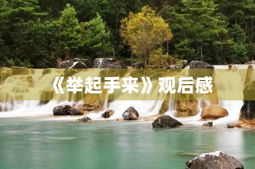 《举起手来》观后感