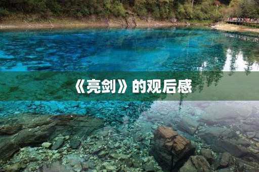 《亮剑》的观后感 《亮剑》的观后感
