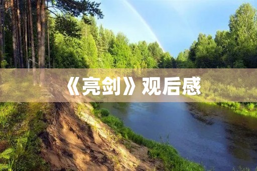 《亮剑》观后感