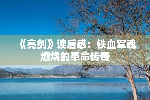 《亮剑》读后感：铁血军魂燃烧的革命传奇