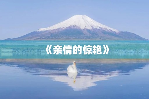 《亲情的惊艳》 《亲情的惊艳》