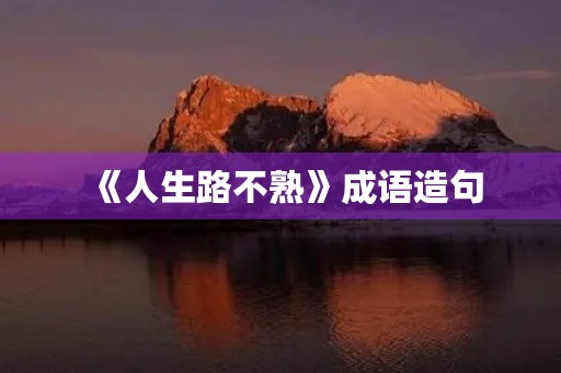 《人生路不熟》成语造句