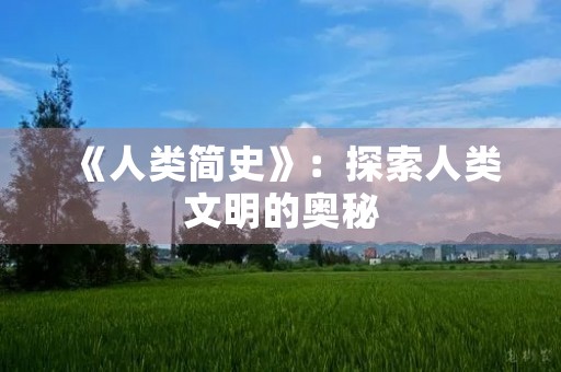 《人类简史》:探索人类文明的奥秘 《人类简史》:探索人类文明的奥秘