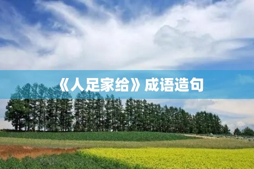 《人足家给》成语造句