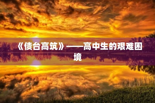 《债台高筑》——高中生的艰难困境