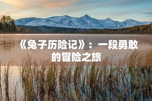 《兔子历险记》:一段勇敢的冒险之旅 《兔子历险记》:一段勇敢的冒险之旅