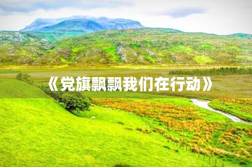 《党旗飘飘我们在行动》