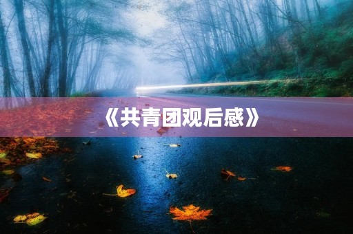 《共青团观后感》