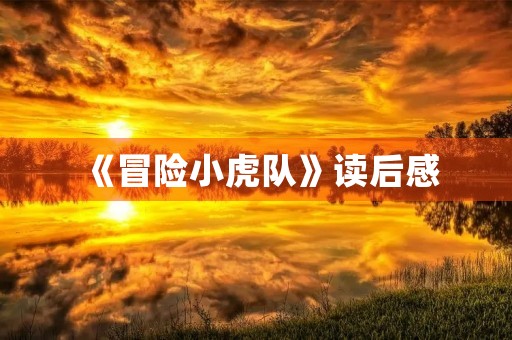 《冒险小虎队》读后感