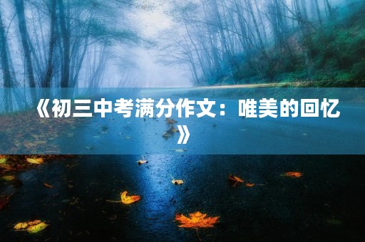 《初三中考满分作文:唯美的回忆》 《初三中考满分作文:唯美的回忆》
