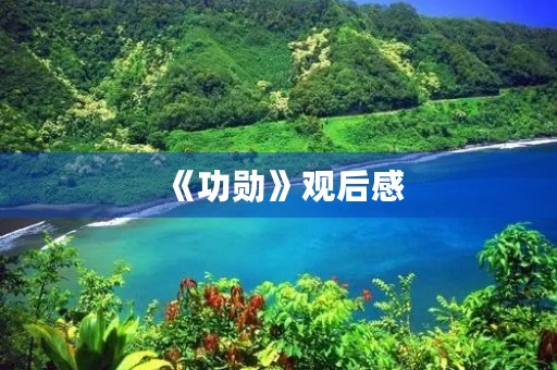 《功勋》观后感