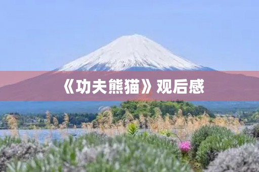 《功夫熊猫》观后感 《功夫熊猫》观后感