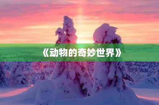 《动物的奇妙世界》