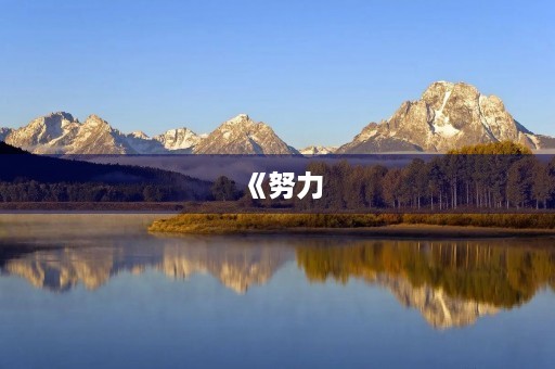 《努力，成就未来》