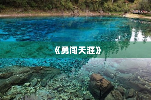 《勇闯天涯》