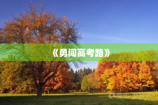 《勇闯高考路》