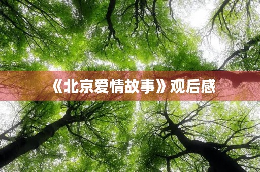 《北京爱情故事》观后感 《北京爱情故事》观后感
