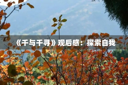 《千与千寻》观后感：探索自我，寻找归属