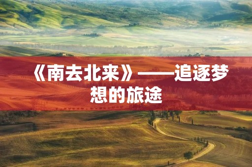《南去北来》——追逐梦想的旅途 《南去北来》——追逐梦想的旅途