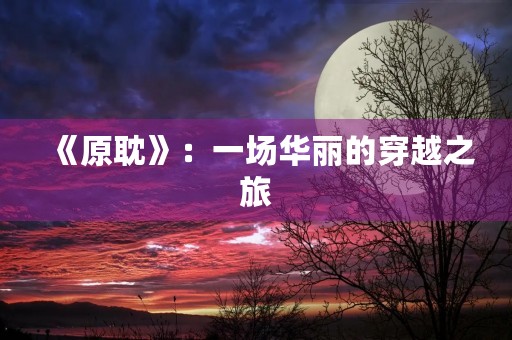 《原耽》：一场华丽的穿越之旅