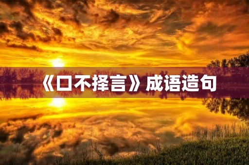 《口不择言》成语造句
