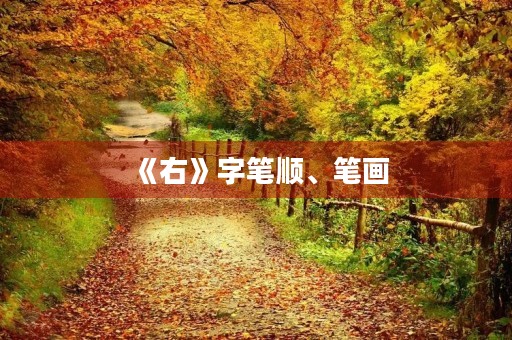 《右》字笔顺、笔画(右) 《右》字笔顺、笔画(右)