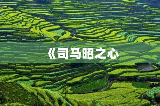 《司马昭之心,路人皆知》成语造句 《司马昭之心,路人皆知》成语造句