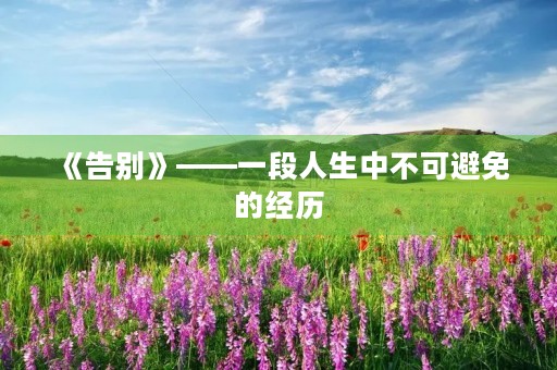 《告别》——一段人生中不可避免的经历 《告别》——一段人生中不可避免的经历